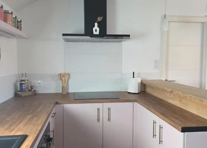 La Valentine - Proche Strasbourg - Wifi Et Climatisation Goxwiller