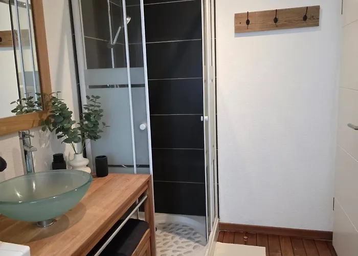 La Valentine - Proche Strasbourg - Wifi Et Climatisation Goxwiller